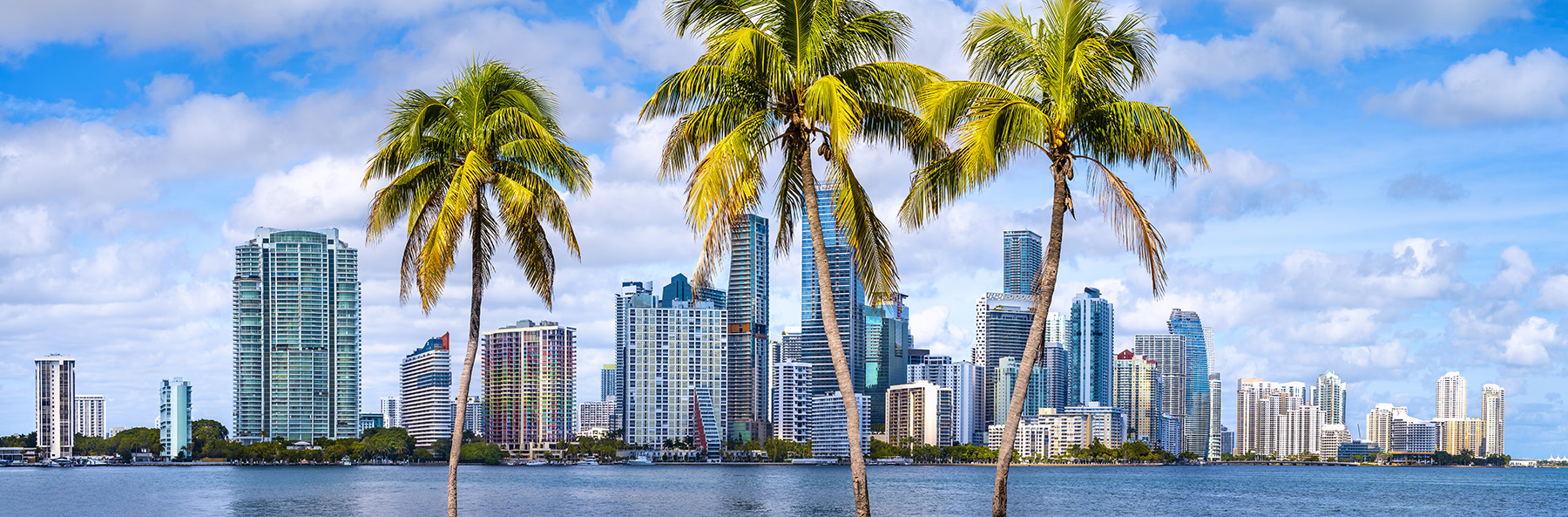 The image shows a city skyline with palm trees and a clear blue sky, featuring a prominent view of a coastal urban area under a bright sun.