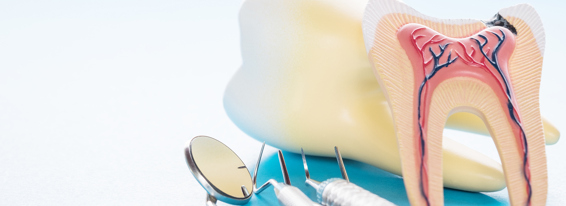 The image shows a toothbrush with toothpaste and a dental floss pick, placed next to a diagram of a mouth with teeth and gums.